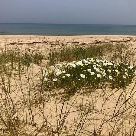 Alcamo Marina Residence *