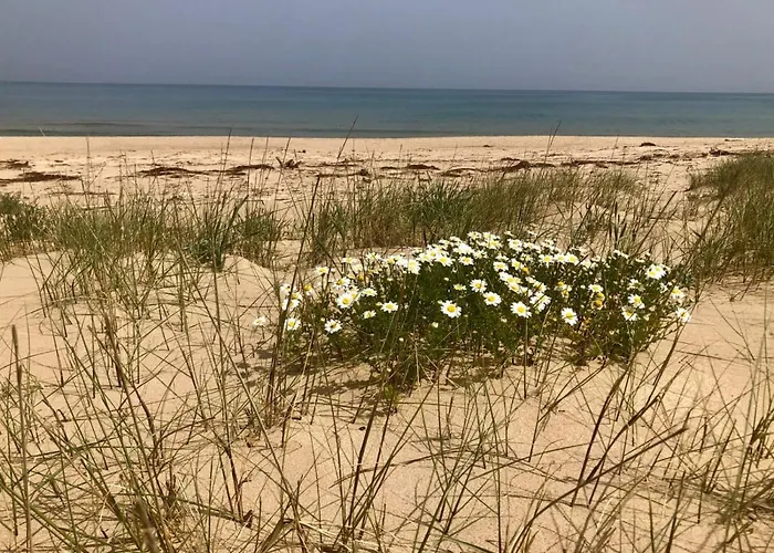 Alcamo Marina Residence *